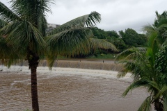 Cyclone Bejisa