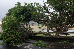 Cyclone Bejisa