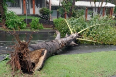 Cyclone Bejisa