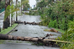 Cyclone Bejisa
