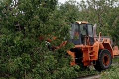 Cyclone Bejisa