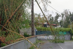 Cyclone Bejisa