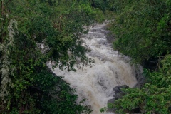 Cyclone Bejisa