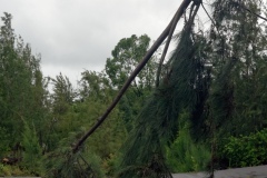 Cyclone Bejisa