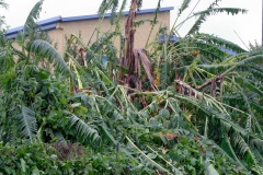 Cyclone Bejisa