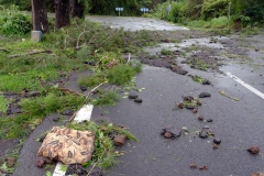 Cyclone Bejisa