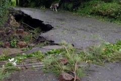 Cyclone Bejisa