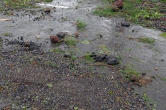 Cyclone Bejisa