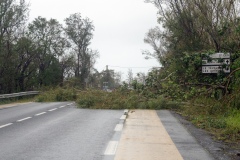Cyclone Bejisa