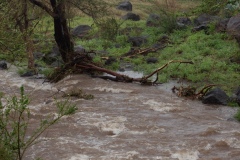 Cyclone Bejisa