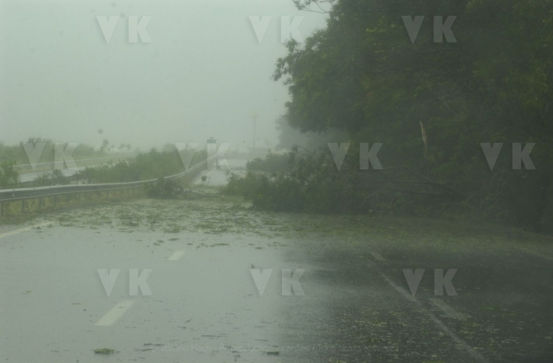 Cyclone Dina