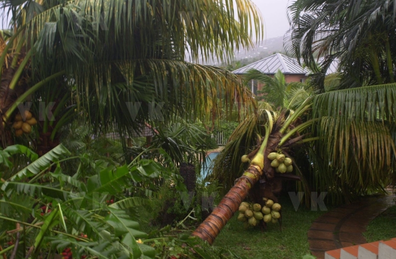 Cyclone Dina