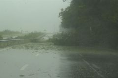 Cyclone Dina