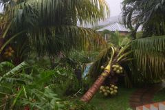 Cyclone Dina