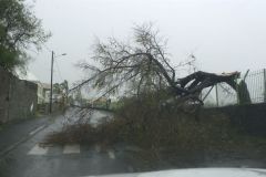 Cyclone Dina