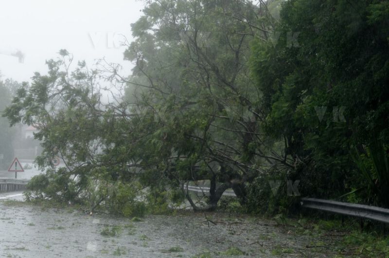 Cyclone Dumile