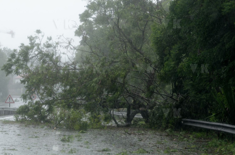 Cyclone Dumile