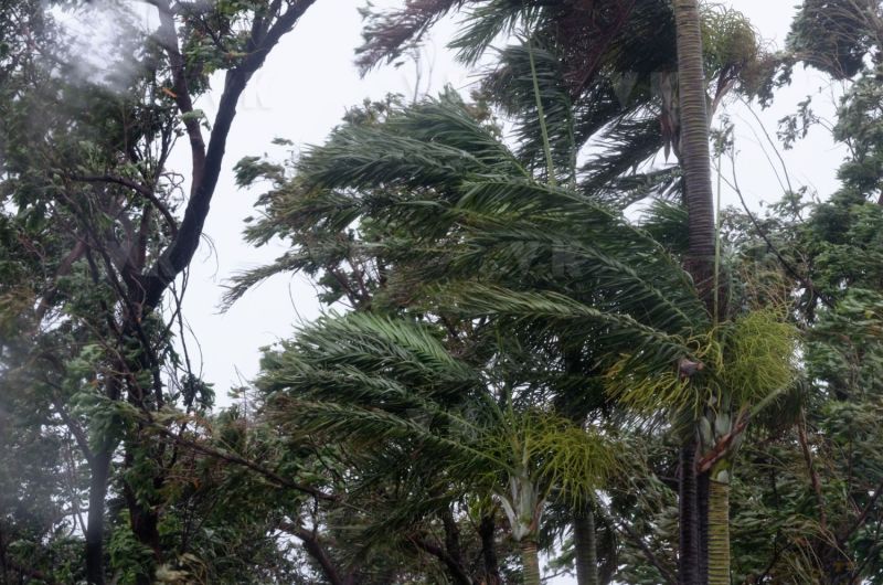 Cyclone Dumile
