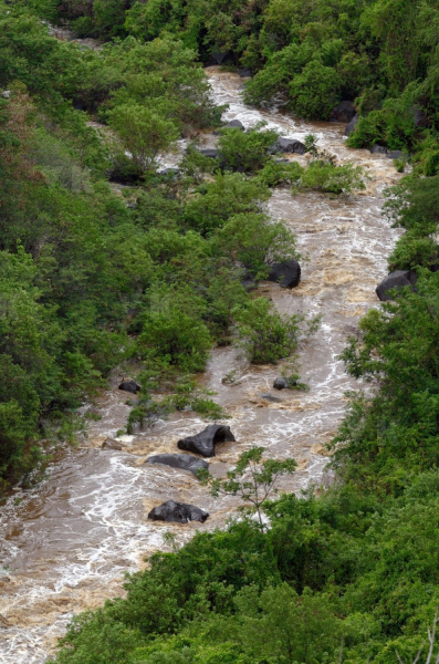Cyclone Dumile