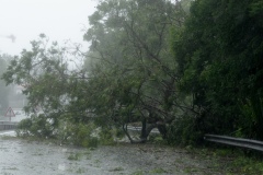 Cyclone Dumile