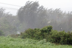 Cyclone Dumile