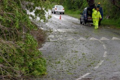 Cyclone Dumile