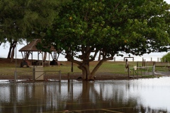 Cyclone Dumile
