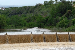 Cyclone Dumile