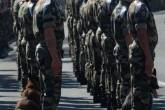 Defile militaire du 14 juillet
