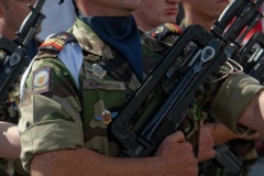 Defile militaire du 14 juillet