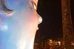 Fête du Dipavali 2016 à Saint-André
