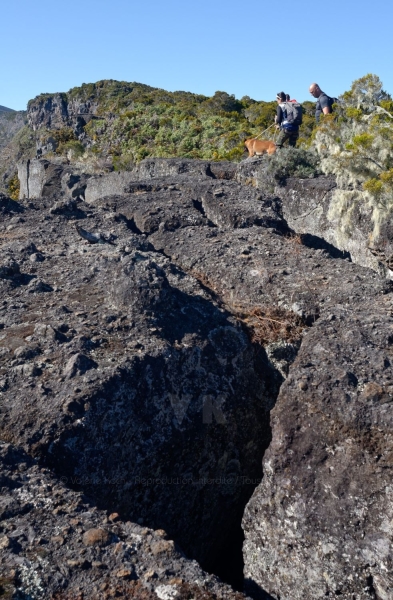Disparition de Mathieu Caizergues : trois equipes cynophiles du GNIC a La Reunion