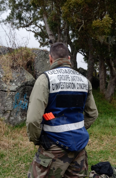 Disparition de Mathieu Caizergues : trois equipes cynophiles du GNIC a La Reunion