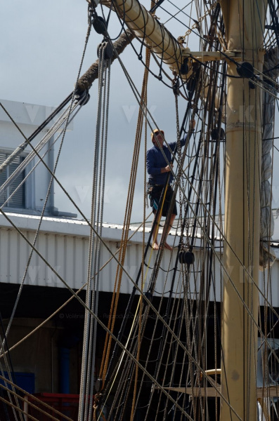 Trois-mâts Picton Castle