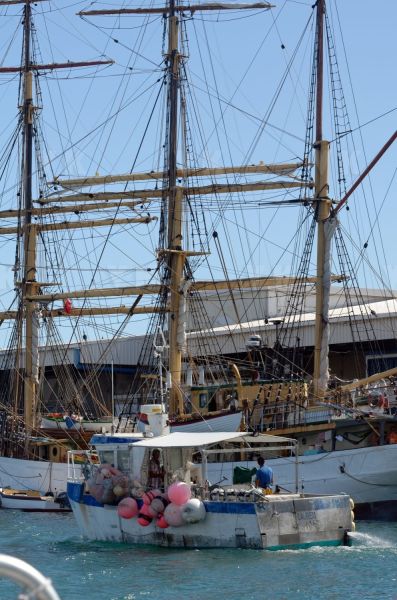 Trois-mâts Picton Castle