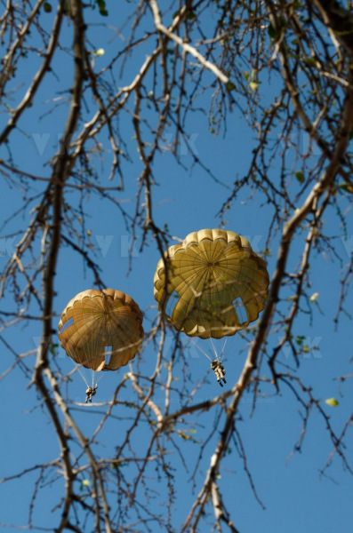 Joint exercise Bizerte 2e RPIMa