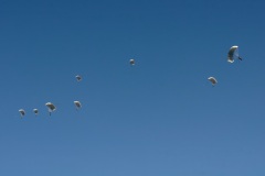 Joint exercise Bizerte 2e RPIMa
