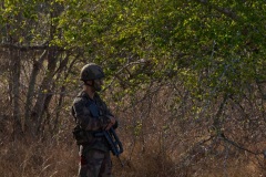 Joint exercise Bizerte 2e RPIMa