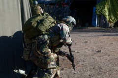 Joint exercise Bizerte 2e RPIMa