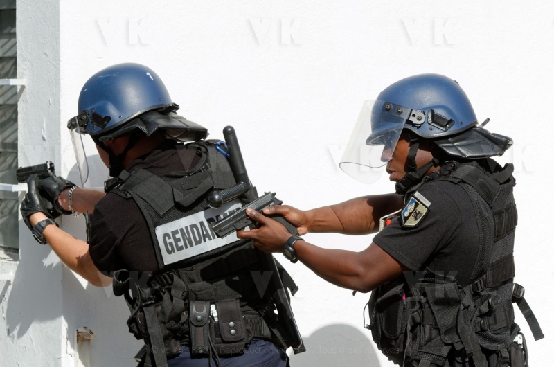 Exercice conjoint antenne GIGN et EGM