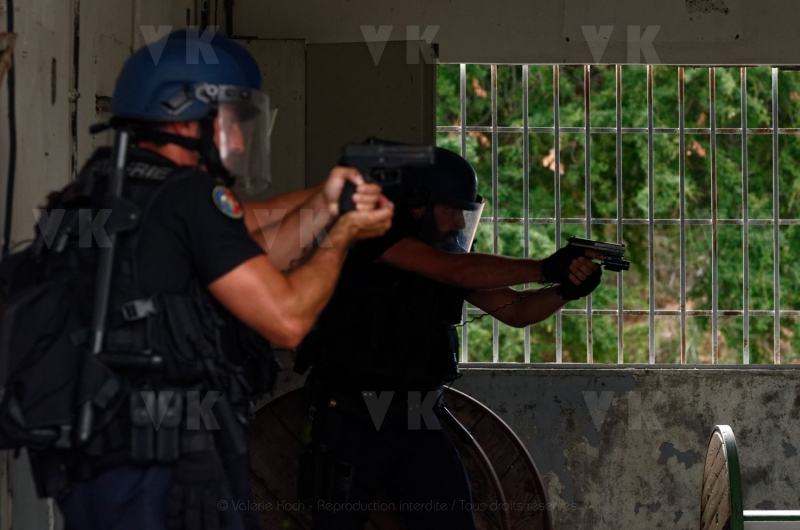 Exercice conjoint antenne GIGN et EGM