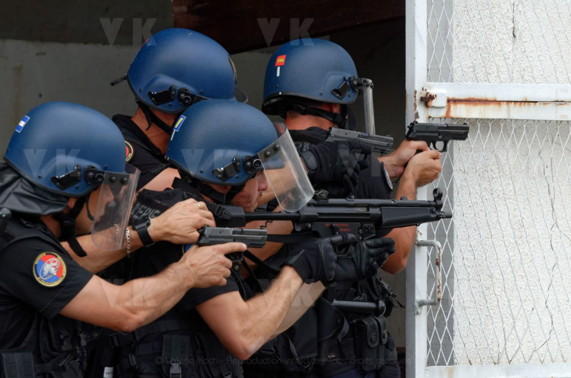 Exercice conjoint antenne GIGN et EGM