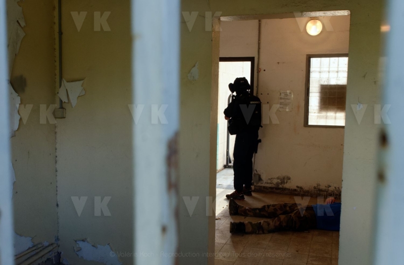 Exercice conjoint antenne GIGN et EGM