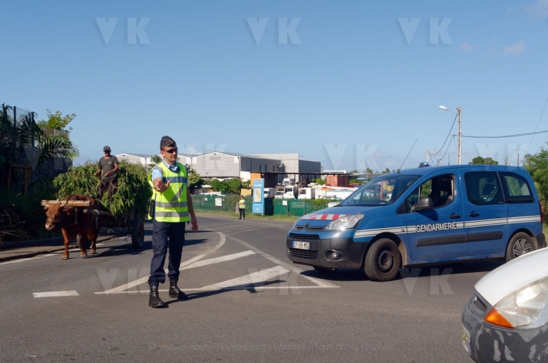 Exercice de securite civile NOVICAREX