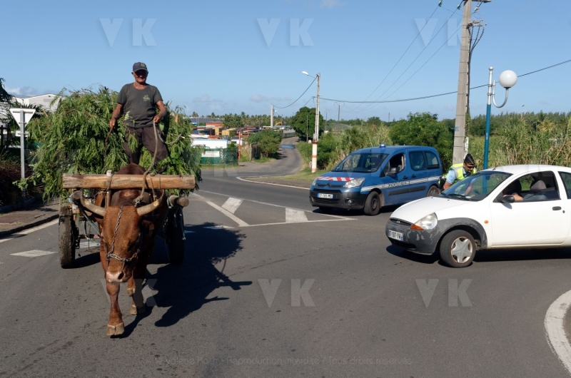 Exercice de securite civile NOVICAREX