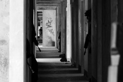 2e RPIMa | Exercice Lambert