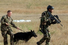 Exercice interalliés Papangue