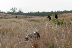 Exercice interalliés Papangue