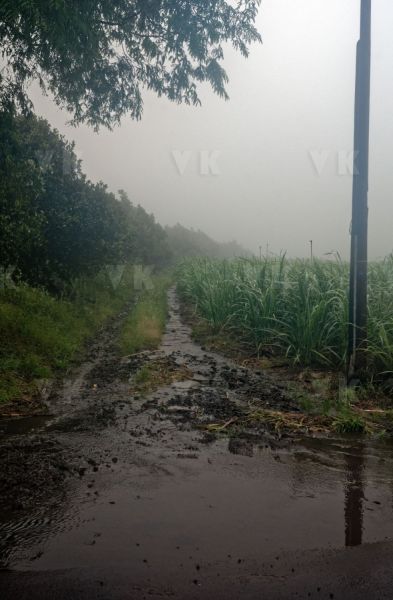 Le sud de La Reunion est impacte par la forte tempete tropicale Berguitta, qui amene vent et fortes precipitations. Le meteore passe actuellement au plus pres de l'ile et devrait commencer a s'eloigner en debut de soiree. The south of La Reunion is impacted by the strong tropical storm Berguitta, which brings wind and heavy precipitation. The meteore is currently passing close to the island and should begin to move early in the evening.