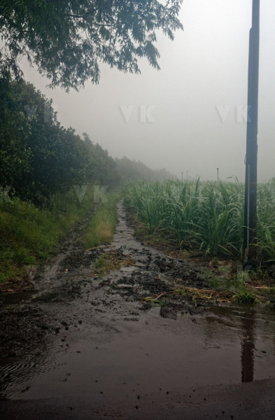 Le sud de La Reunion est impacte par la forte tempete tropicale Berguitta, qui amene vent et fortes precipitations. Le meteore passe actuellement au plus pres de l'ile et devrait commencer a s'eloigner en debut de soiree. The south of La Reunion is impacted by the strong tropical storm Berguitta, which brings wind and heavy precipitation. The meteore is currently passing close to the island and should begin to move early in the evening.